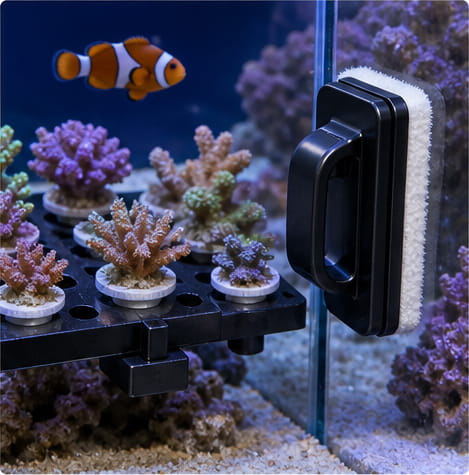 Waterproofing Magnet for Aquariums